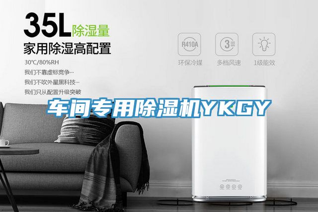 车间专用除湿机YKGY