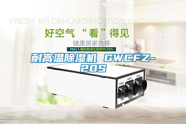 耐高温除湿机 GWCFZ-20S