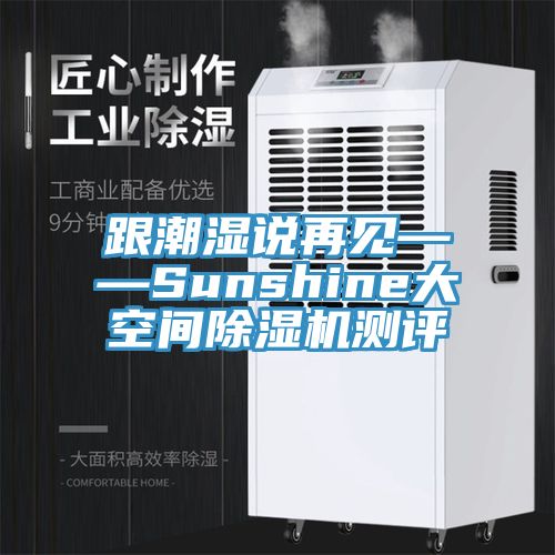 跟潮湿说再见——Sunshine大空间除湿机测评