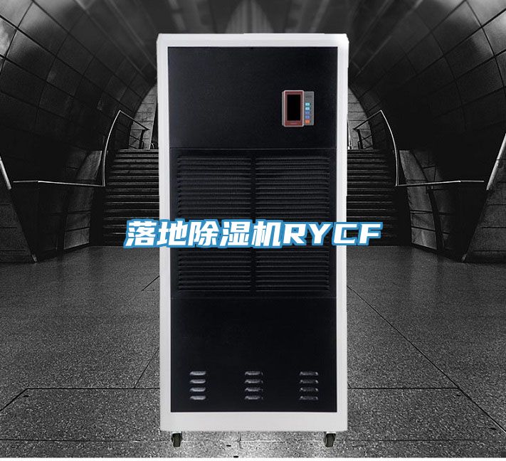 落地除湿机RYCF