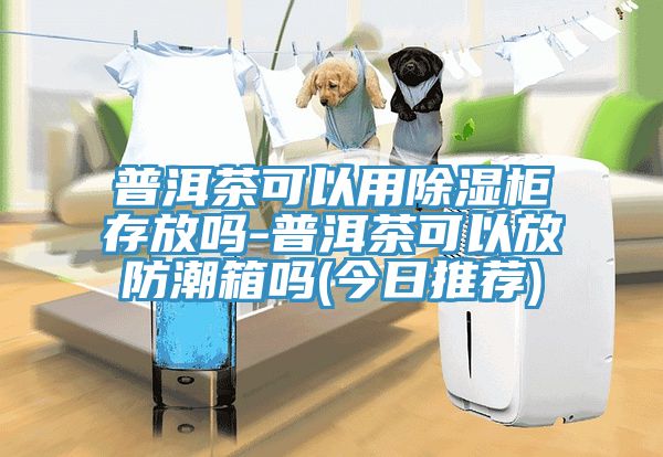 普洱茶可以用除湿柜存放吗-普洱茶可以放防潮箱吗(今日推荐)