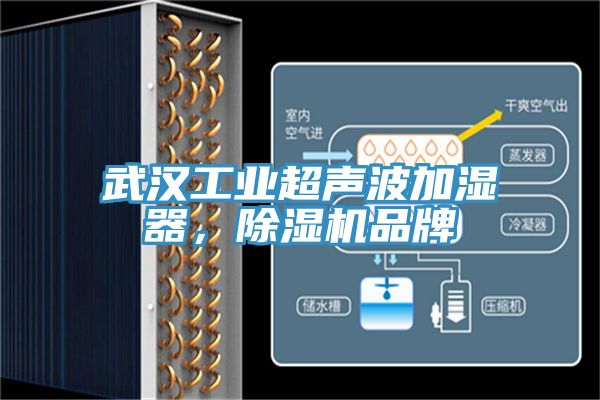 武汉工业超声波加湿器，除湿机品牌