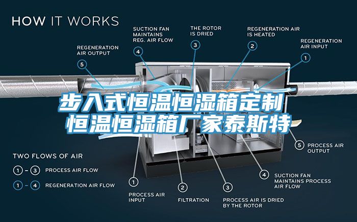 步入式恒温恒湿箱定制 恒温恒湿箱厂家泰斯特