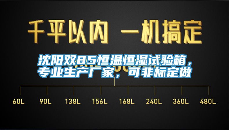 沈阳双85恒温恒湿试验箱，专业生产厂家，可非标定做