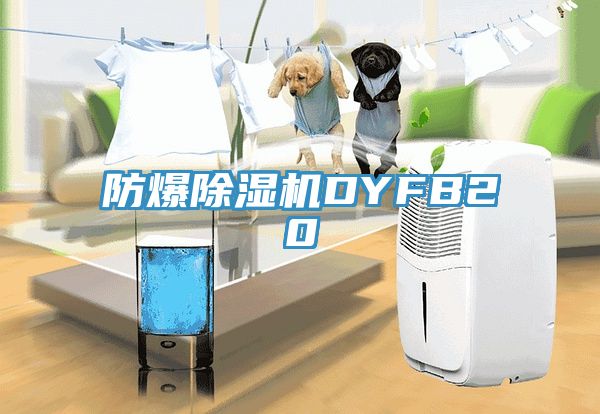 防爆除湿机DYFB20