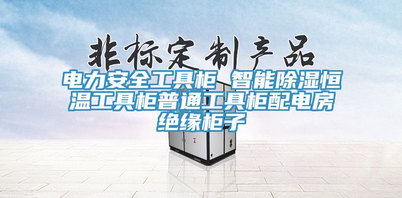 电力安全工具柜 智能除湿恒温工具柜普通工具柜配电房绝缘柜子