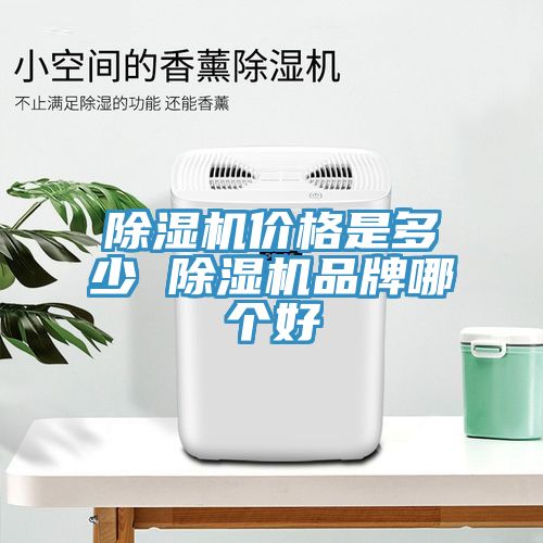 除湿机价格是多少 除湿机品牌哪个好