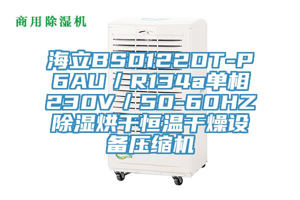 海立BSD122DT-P6AU／R134a单相230V／50-60HZ除湿烘干恒温干燥设备压缩机