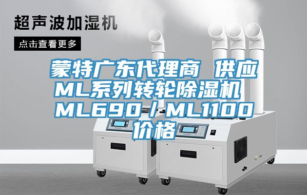 蒙特广东代理商 供应ML系列转轮除湿机 ML690／ML1100价格