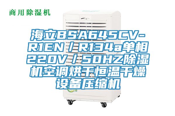 海立BSA645CV-R1EN／R134a单相220V／50HZ除湿机空调烘干恒温干燥设备压缩机