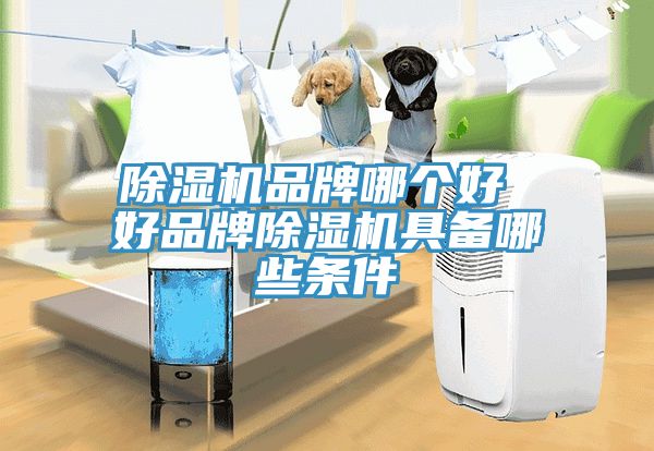 除湿机品牌哪个好 好品牌除湿机具备哪些条件