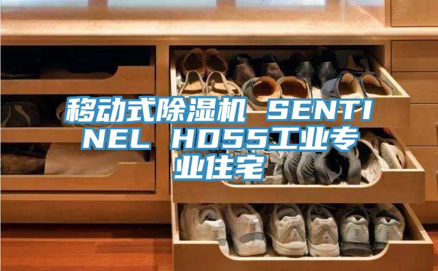 移动式除湿机 SENTINEL HD55工业专业住宅