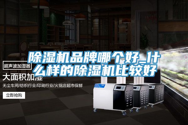 除湿机品牌哪个好_什么样的除湿机比较好