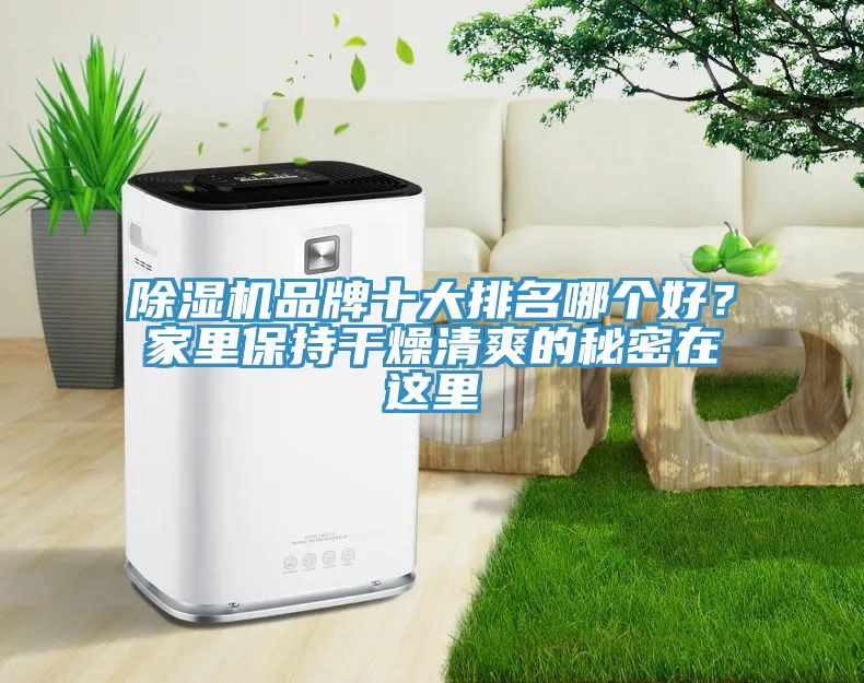 除湿机品牌十大排名哪个好？家里保持干燥清爽的秘密在这里