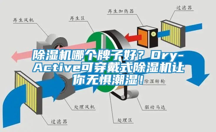 除湿机哪个牌子好？Dry-Active可穿戴式除湿机让你无惧潮湿！