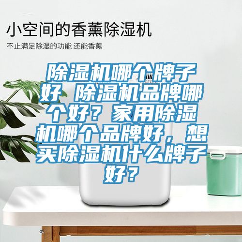 除湿机哪个牌子好 除湿机品牌哪个好？家用除湿机哪个品牌好，想买除湿机什么牌子好？