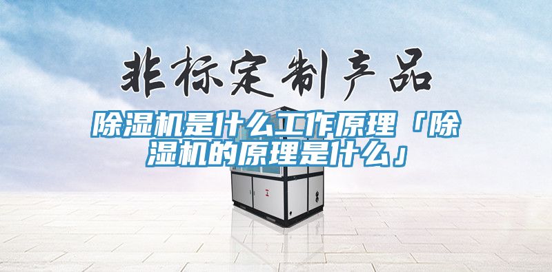 除湿机是什么工作原理「除湿机的原理是什么」