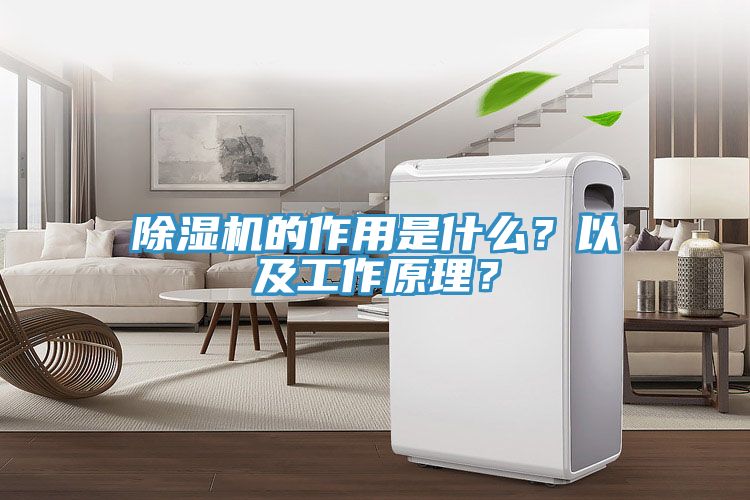 除湿机的作用是什么？以及工作原理？