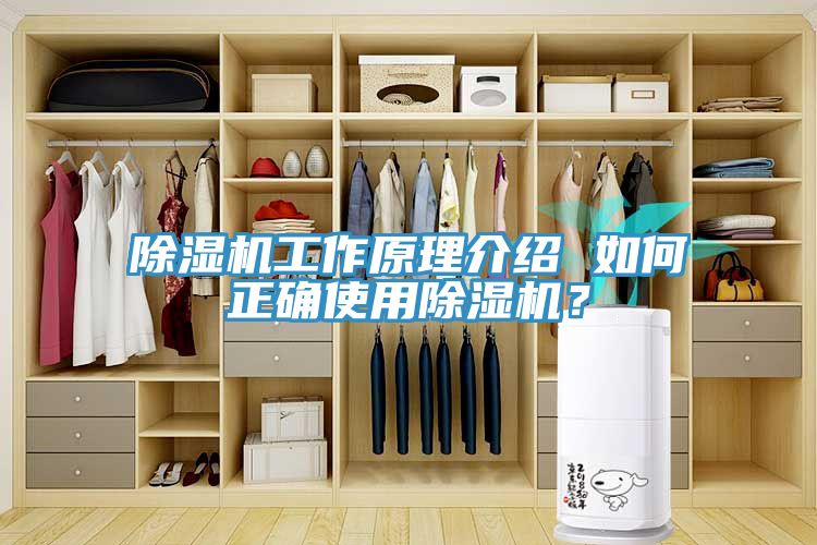 除湿机工作原理介绍 如何正确使用除湿机？