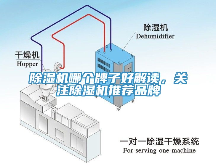 除湿机哪个牌子好解读，关注除湿机推荐品牌