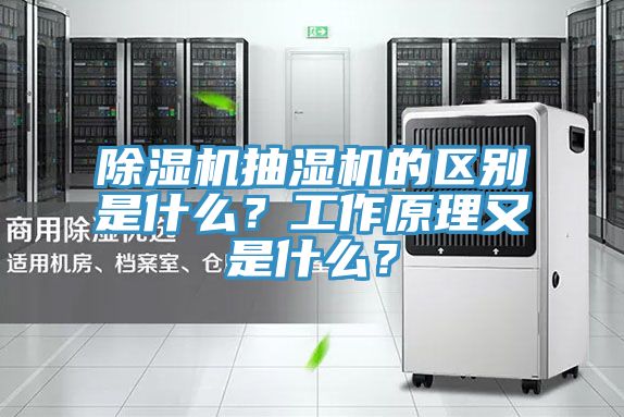 除湿机抽湿机的区别是什么？工作原理又是什么？